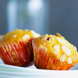 Vanilla Muffin